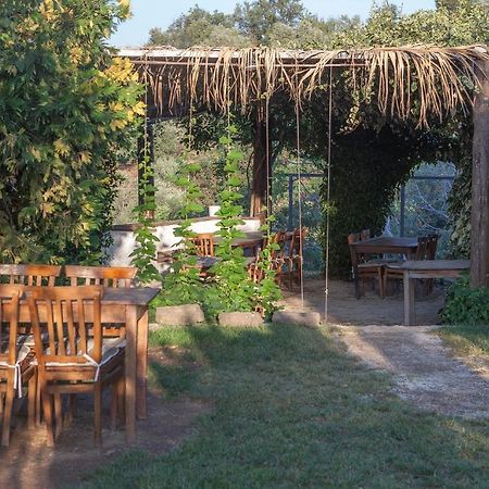 Zeytinbagi Hotel Гюре Экстерьер фото